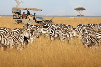 Maasai Mara best