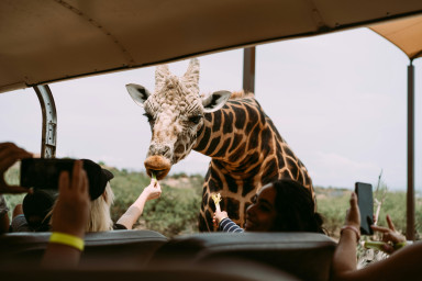 14 Days Tanzania Safari