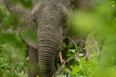 Ruaha National Park – Tanzania’s Last Great Wilderness